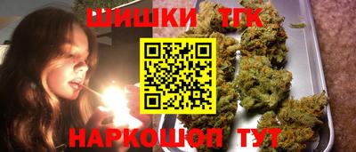 крисы Новодвинск