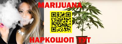 крисы Новодвинск