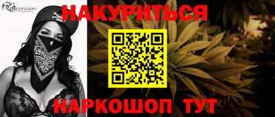 крисы Новодвинск