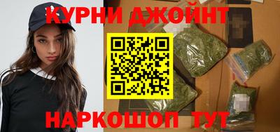 крисы Новодвинск