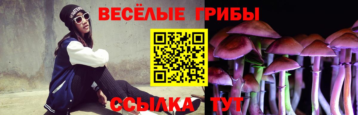 Галлюциногенные грибы MAGIC MUSHROOMS Владикавказ